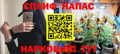 соль ск Славгород