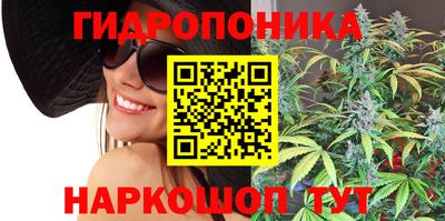 соль ск Славгород