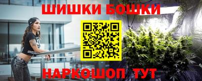 соль ск Славгород