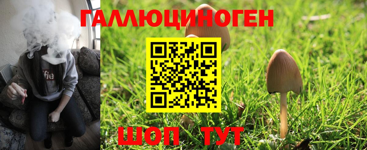 Псилоцибиновые грибы MAGIC MUSHROOMS  Псилоцибиновые грибы MAGIC MUSHROOMS  Нижнекамск  Вход с VPN 